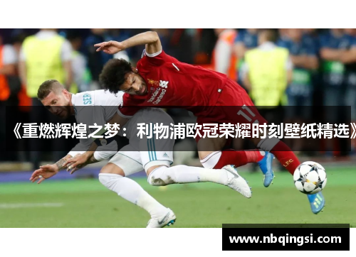 《重燃辉煌之梦：利物浦欧冠荣耀时刻壁纸精选》